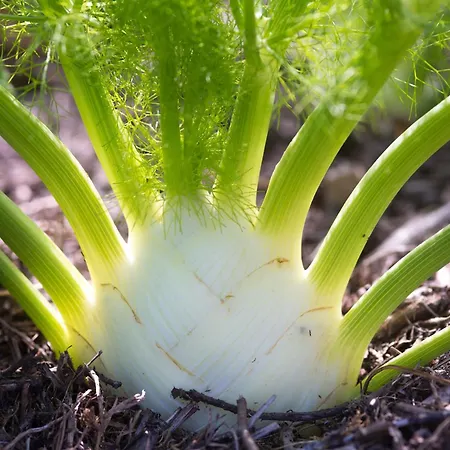 Eco-domaine La Fontaine - Residence-spa - 300 M De La Fontaine Aux Bretons