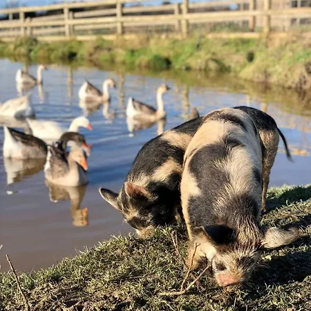 Eco-domaine La Fontaine - Residence-spa - 300 M De La Fontaine Aux Bretons Aparthotel