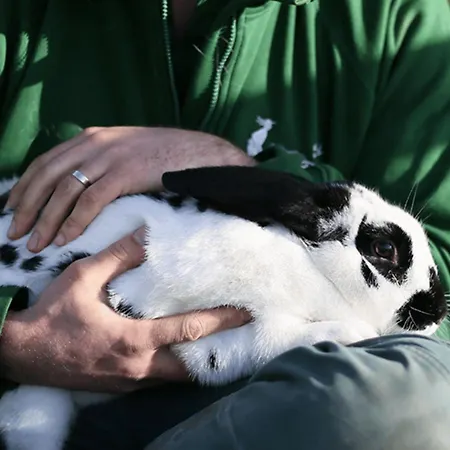 Eco-domaine La Fontaine - Residence-spa - 300 M De La Fontaine Aux Bretons Aparthotel Pornic