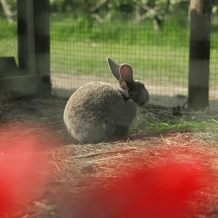 Aparthotel Eco-domaine La Fontaine - Residence-spa - 300 M De La Fontaine Aux Bretons Pornic