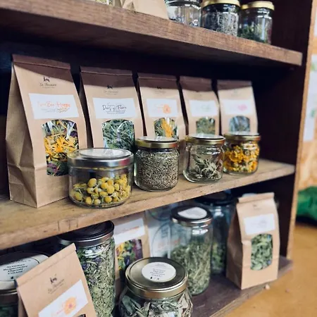 Aparthotel Eco-domaine La Fontaine - Residence-spa - 300 M De La Fontaine Aux Bretons Pornic