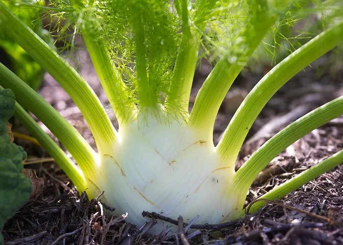 Eco-domaine La Fontaine - Residence-spa - 300 M De La Fontaine Aux Bretons