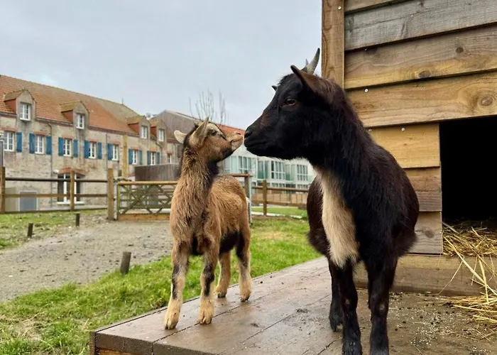 Eco-domaine La Fontaine - Residence-spa - 300 M De La Fontaine Aux Bretons 3*
