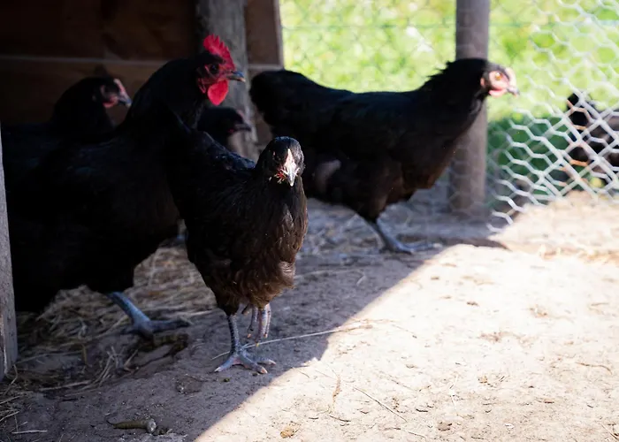 Apartmanhotel Eco-domaine La Fontaine - Residence-spa - 300 M De La Fontaine Aux Bretons