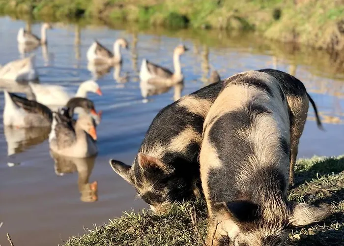 Eco-domaine La Fontaine - Residence-spa - 300 M De La Fontaine Aux Bretons Apartmanhotel
