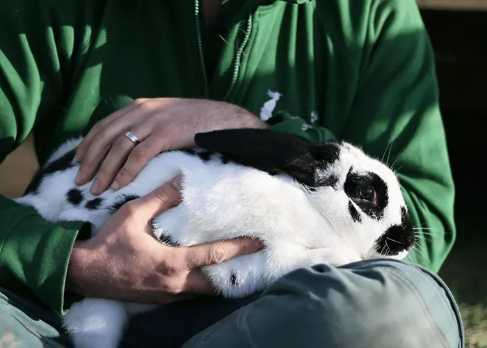 Eco-domaine La Fontaine - Residence-spa - 300 M De La Fontaine Aux Bretons Apartmanhotel Pornic