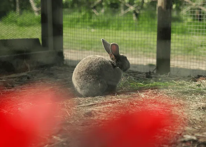 Apartmanhotel Eco-domaine La Fontaine - Residence-spa - 300 M De La Fontaine Aux Bretons Pornic