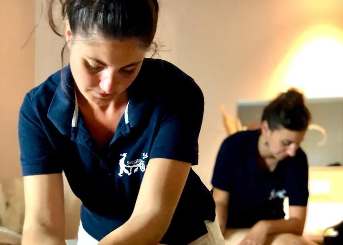 Eco-domaine La Fontaine - Residence-spa - 300 M De La Fontaine Aux Bretons