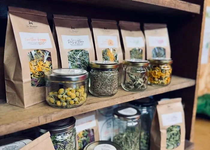 Apartmanhotel Eco-domaine La Fontaine - Residence-spa - 300 M De La Fontaine Aux Bretons Pornic