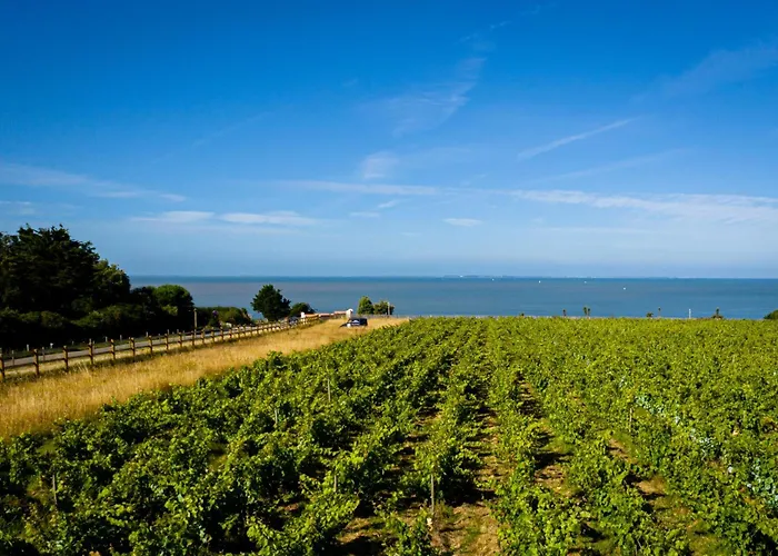 Eco-domaine La Fontaine - Residence-spa - 300 M De La Fontaine Aux Bretons Apartmanhotel 3*