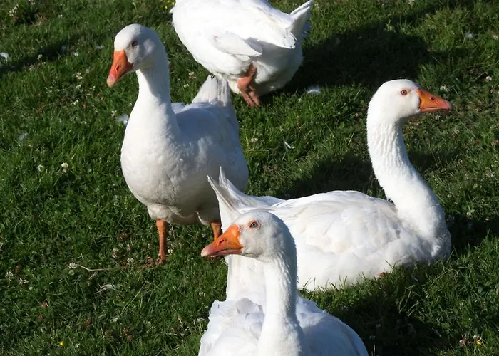 Apartmanhotel Eco-domaine La Fontaine - Residence-spa - 300 M De La Fontaine Aux Bretons Pornic